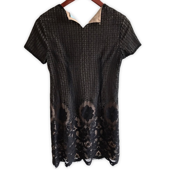 CeCe Black & Tan Lace Short Sleeve Scallop Dress - Picture 5 of 8